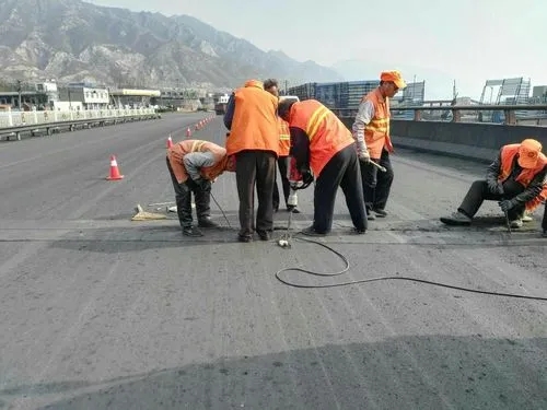 珠山道路桥梁病害治理